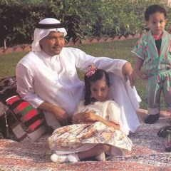 Abo Noura