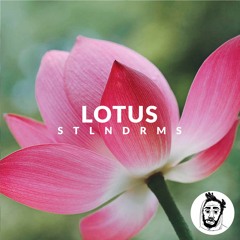 LOFI-LOLYF