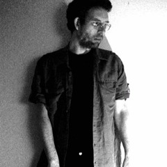 A pig, a dog and a fly