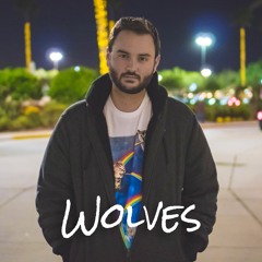 Selena Gomez, Marshmello - Wolves  | Acoustic (Chaz Mazzota)