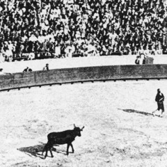 Rushing And Breaking