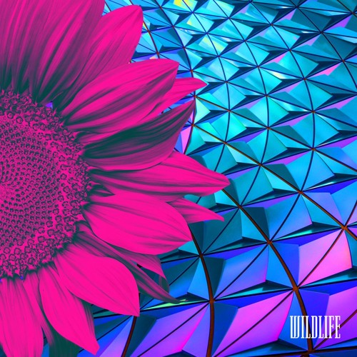 Capture - Wildlife (Don Diablo's Hexagon Radio)