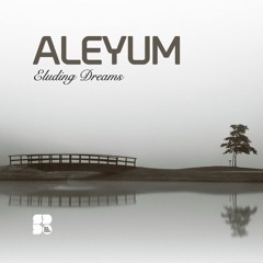 Aleyum & Fox - Rushing West (Original Mix) [Soul Deep Recordings]