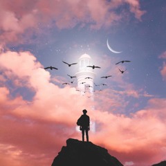 〖The Violation 010〗萬鷺朝鳳★Bubulcus Ibis, 2017