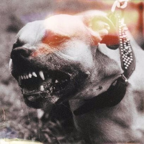 BULLY