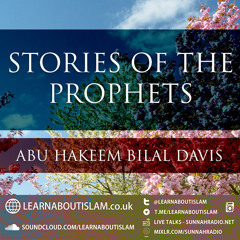 Story Of Prophet Nuh - Part 02 | Learnaboutislam | Abu Hakeem