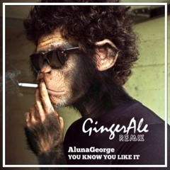 AlunaGeorge - You Know You Like It (GingerAle Remix)