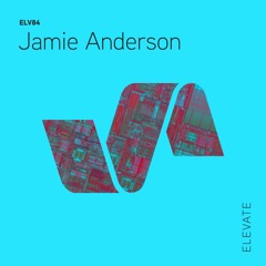 ELV84 2. Jamie Anderson - Polaris
