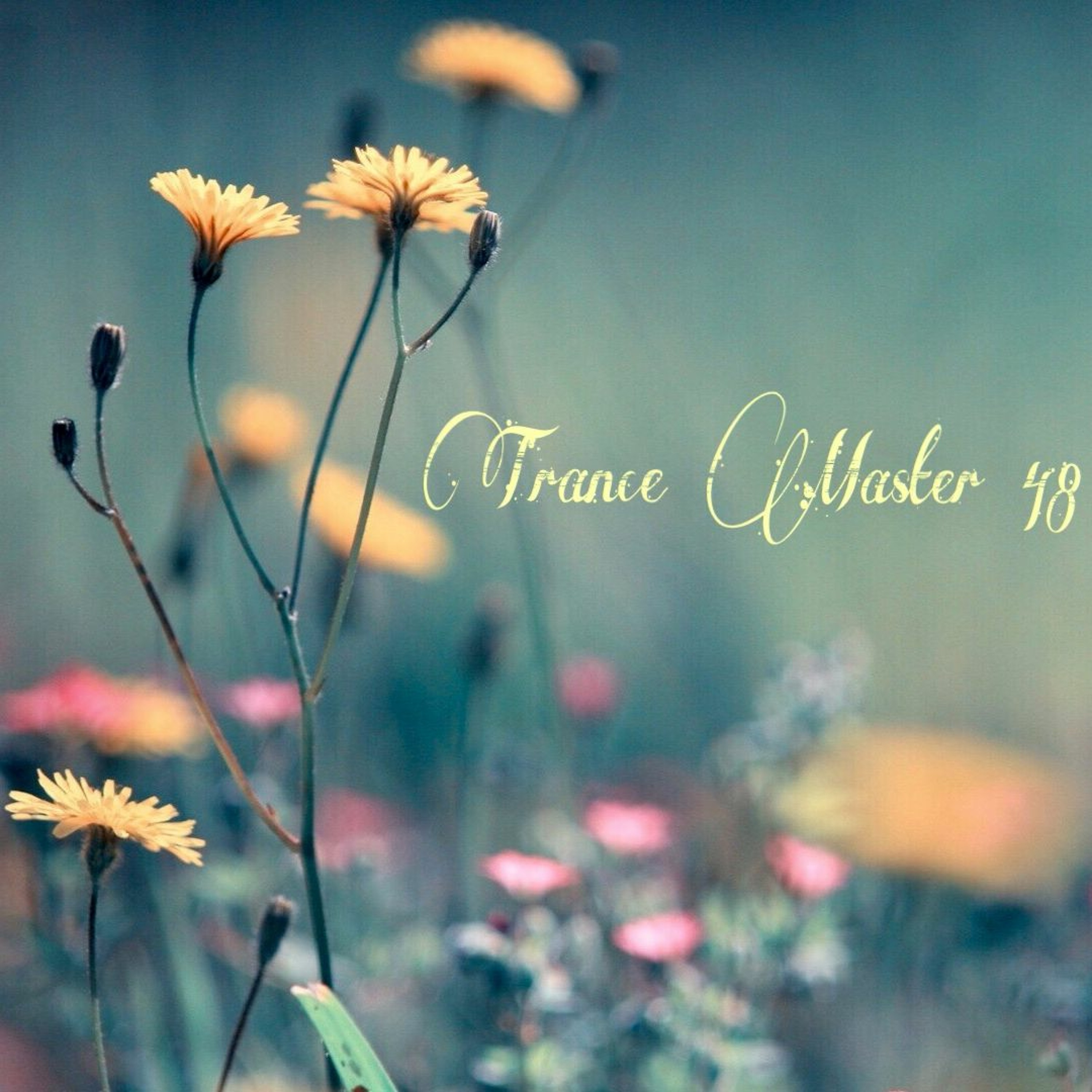 Trance Master 48 episode artwork