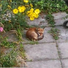 we've helped each other grow