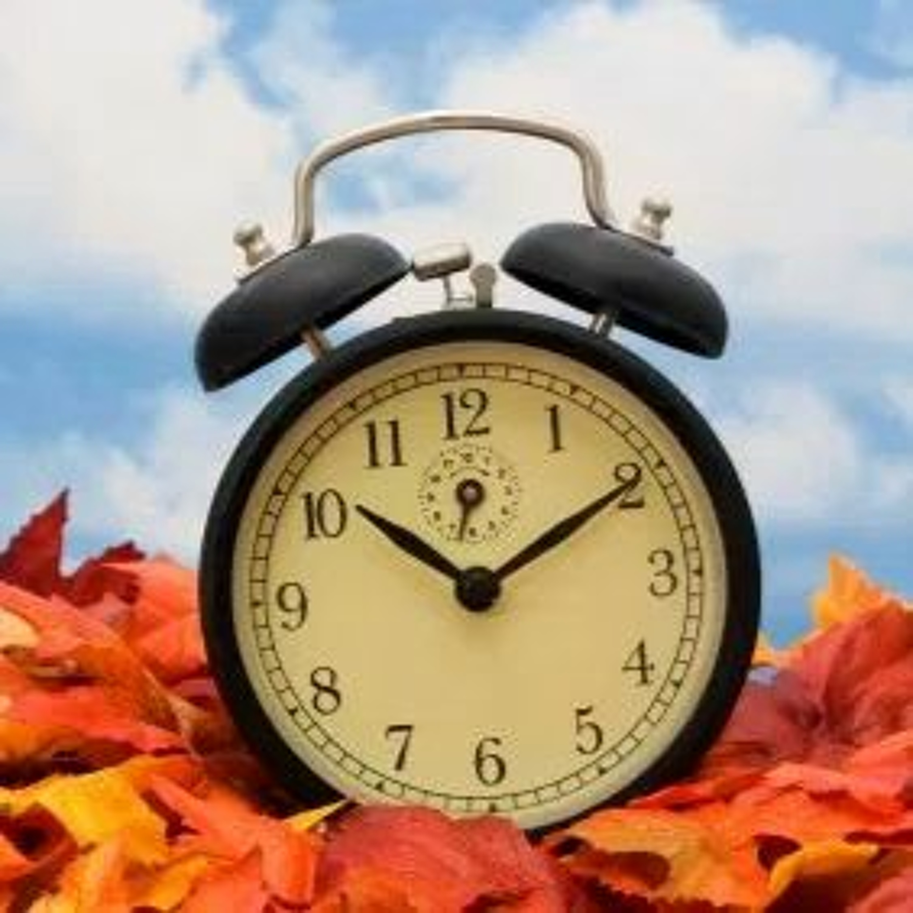 Weekend : 11.4 & 5 : 2017 : Fall Back One Hour : Cooler With Light Showers : Becerra lawncare Update episode artwork