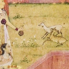 history and politics of health and welfare