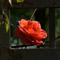 WYA Now X Prod. By Mase Geez (AGAG2)