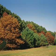 Feelin' Whitney (Post Malone Cover)