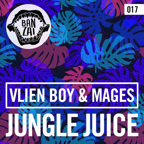 Vlien Boy & Mages - Jungle Juice