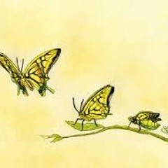 성충(imago) feat. CHASE