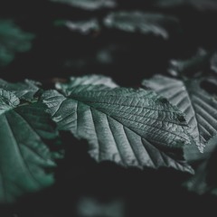 Technoshamanism 005: Feel Yo'self