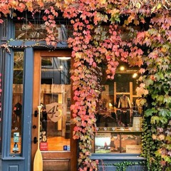 cafe