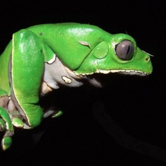 Sneaky Devil/ Comes In Threes