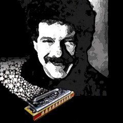 The Promised  Land(Lee Oskar Cover)