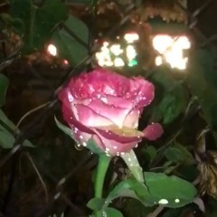 female energy (cover/draft)