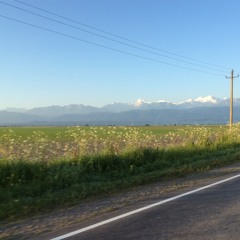 Charango - Improv #7