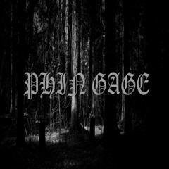 funkdabich (prod. PHIN GAGE)