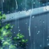 Monday Rain