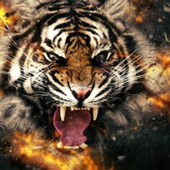 Martin Garrix - Animals (M.B.Key Remix)