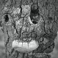 Euphoretic & Slow Life Program - Stoned