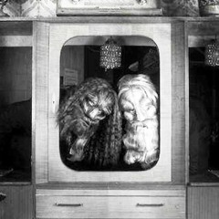 Furfriend - Geck (Anker Remix) [FREE DOWNLOAD]