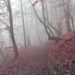 UNIDENTIFIED4004 - NEBULA