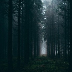 CSW - Raucherpausenphilosophie