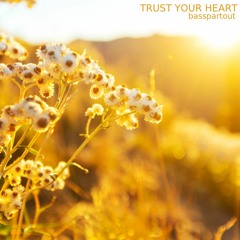 Trust Your Heart - Positive Acoustic Instrumental Background Music for Video