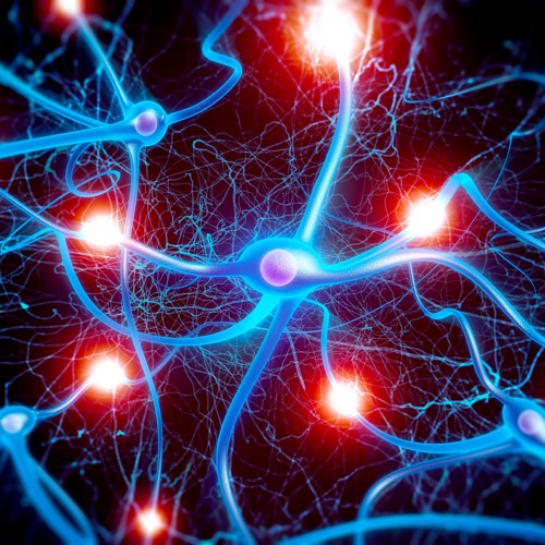 2017 - 11 - 04 135921 09