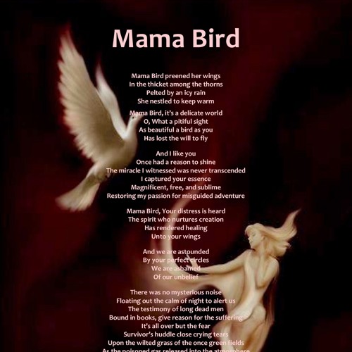 Mama Bird
