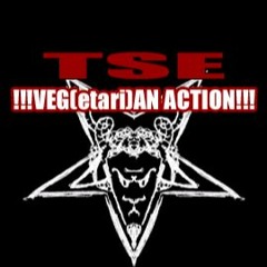 The Sheepnoric Entertainment - winter der gefühle