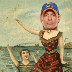 FUKITOL - CARROT CENA