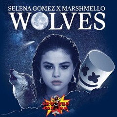 Marshmello & Selena Gomez - Wolves (Grover Braam Remix)