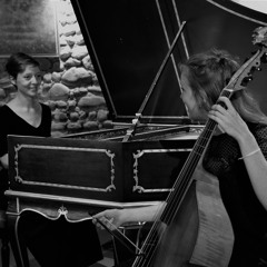 J.S. Bach Sonate BWV 1029 3- Allegro