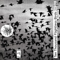 Cohosh - Ten Thousand Flightless Birds (Cave Space Remixes)