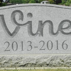 43 Iconic Vines in One Minute