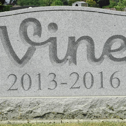 43 Iconic Vines in One Minute