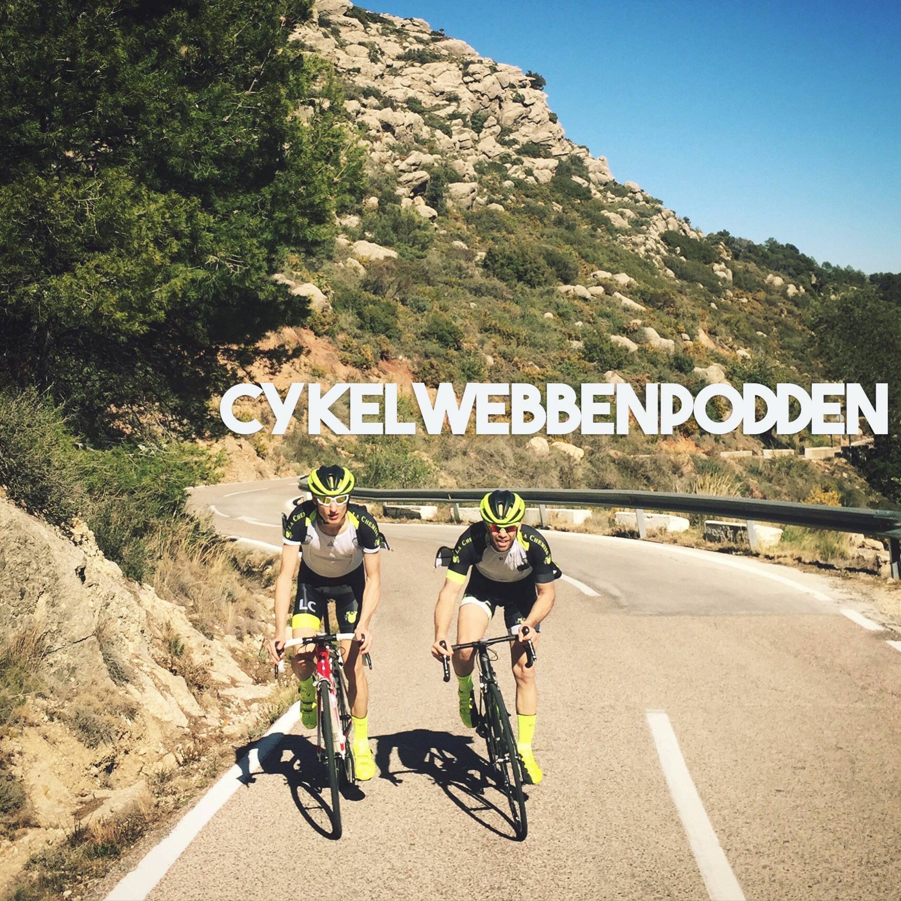CykelwebbenPodden