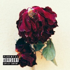 Words Can't Describe (ft. Irish O'men)