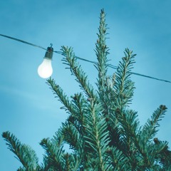 Could be an anime intro/outro if edited