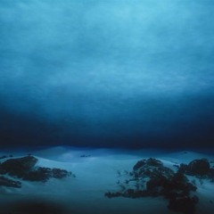 Ocean Floor - Audionautix