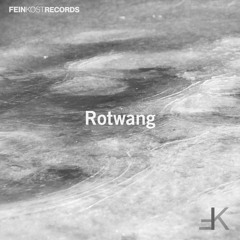 PREMIERE: Rotwang - Rattenloch (NO GRAVITY Remix) [Feinkost Records]