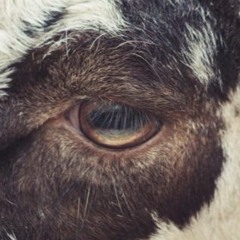 Ojos cansados