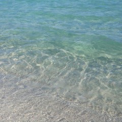 Zara Taylor - Try To Be Love (TRIAY Remix) 11.11 (preview)